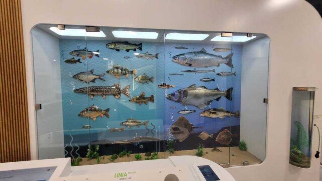 597384726_1382283333908395_6703835155042619196_n