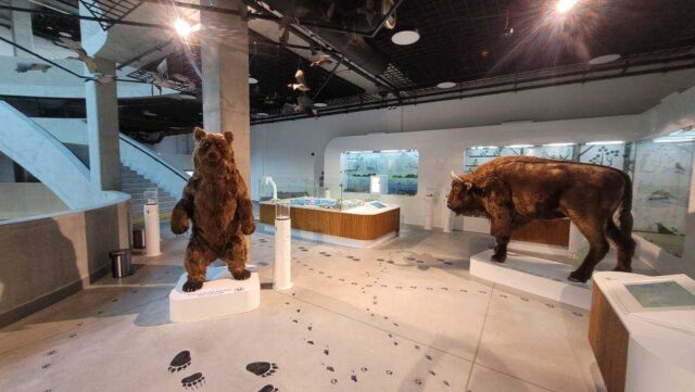 597390024_1382283487241713_3811752760467464158_n