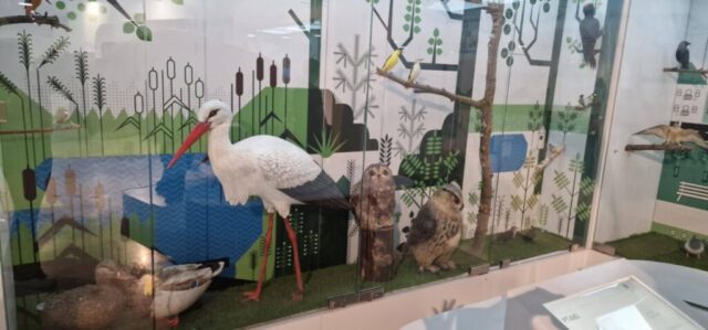 598440166_1382283867241675_7785657051008221830_n