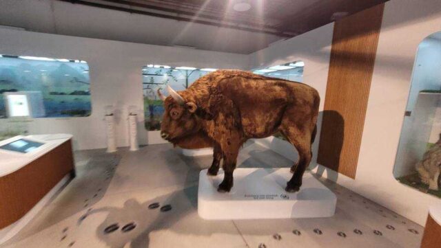 600211260_1382283437241718_5015819658624184489_n